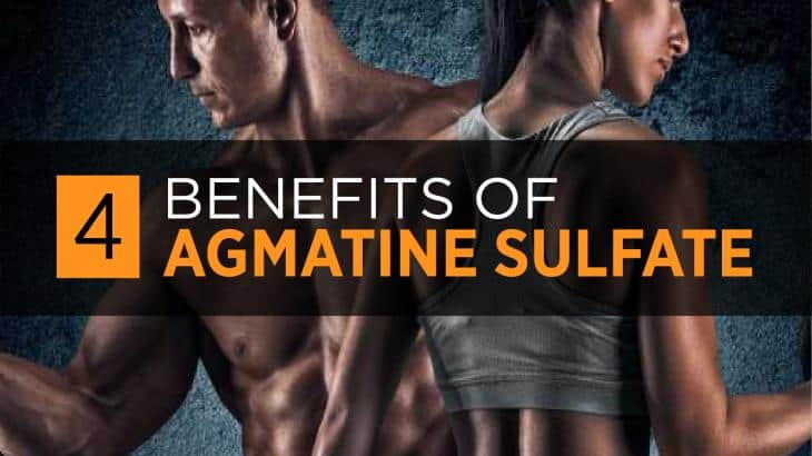 Agmatine Sulfate
