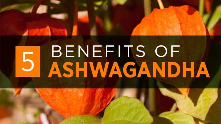 Ashwagandha