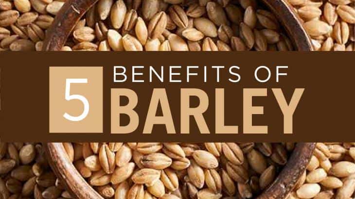 barley