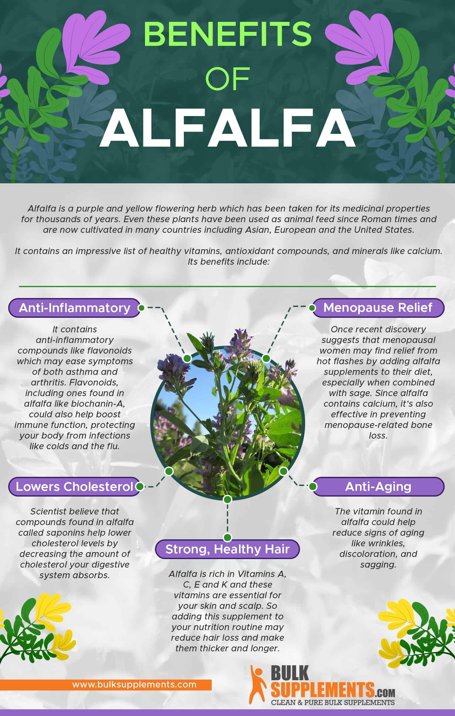 Benefits of Alfalfa