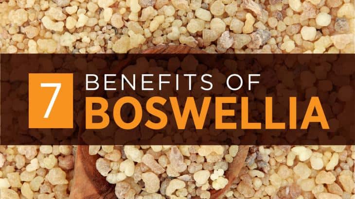 Boswellia
