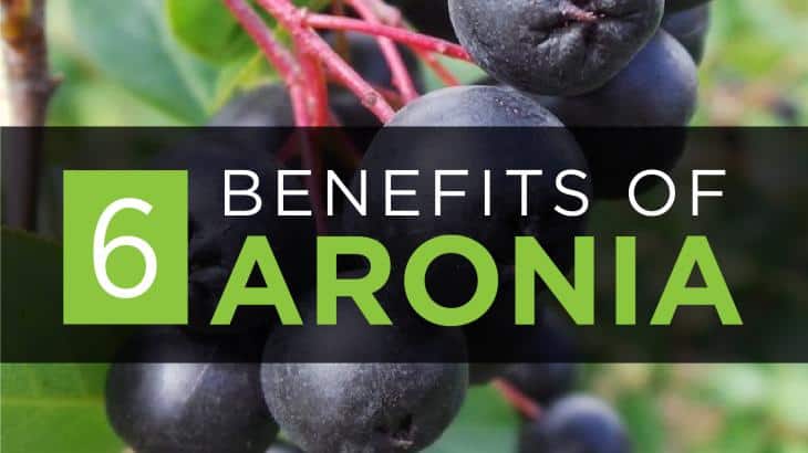 aronia