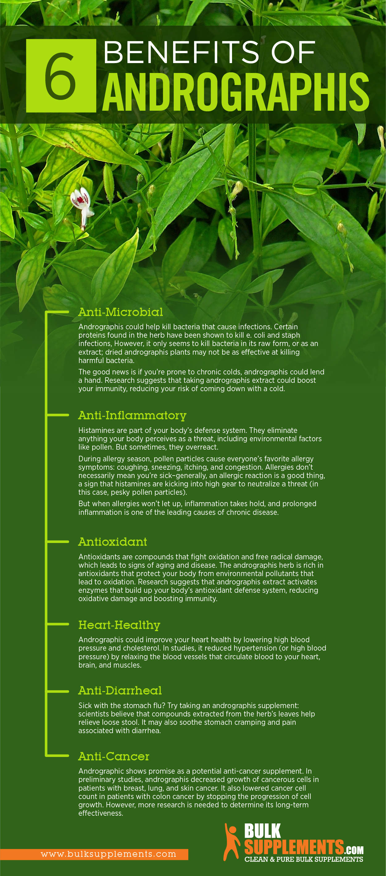 andrographis benefits