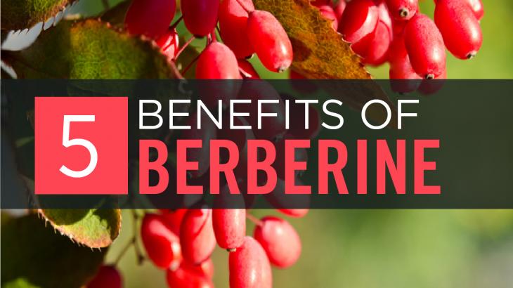 Berberine