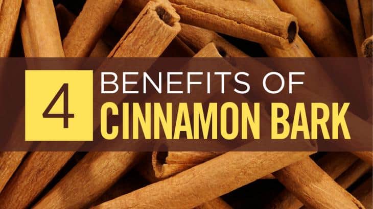 Cinnamon Bark
