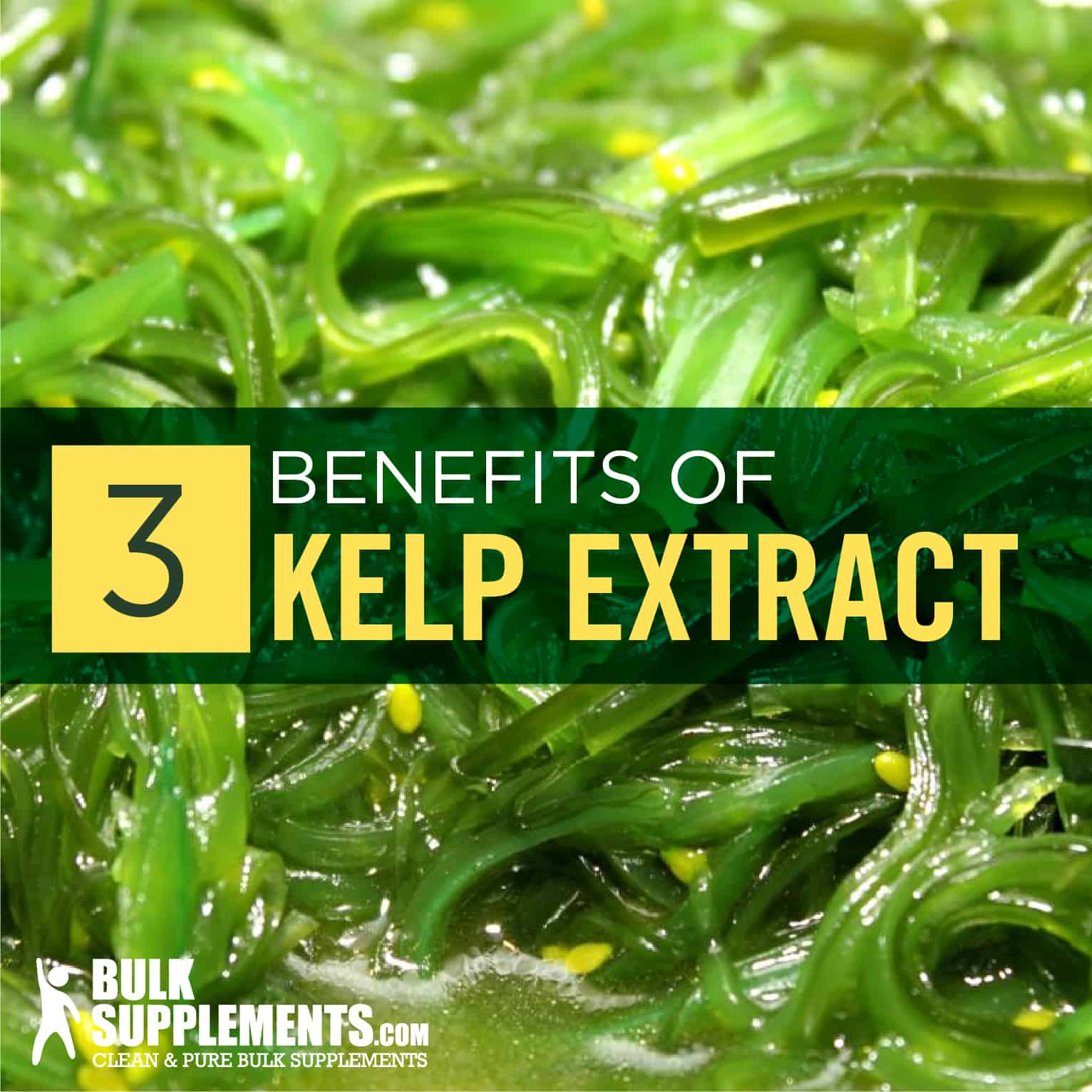 Kelp Benefits, Side Effects & Dosage