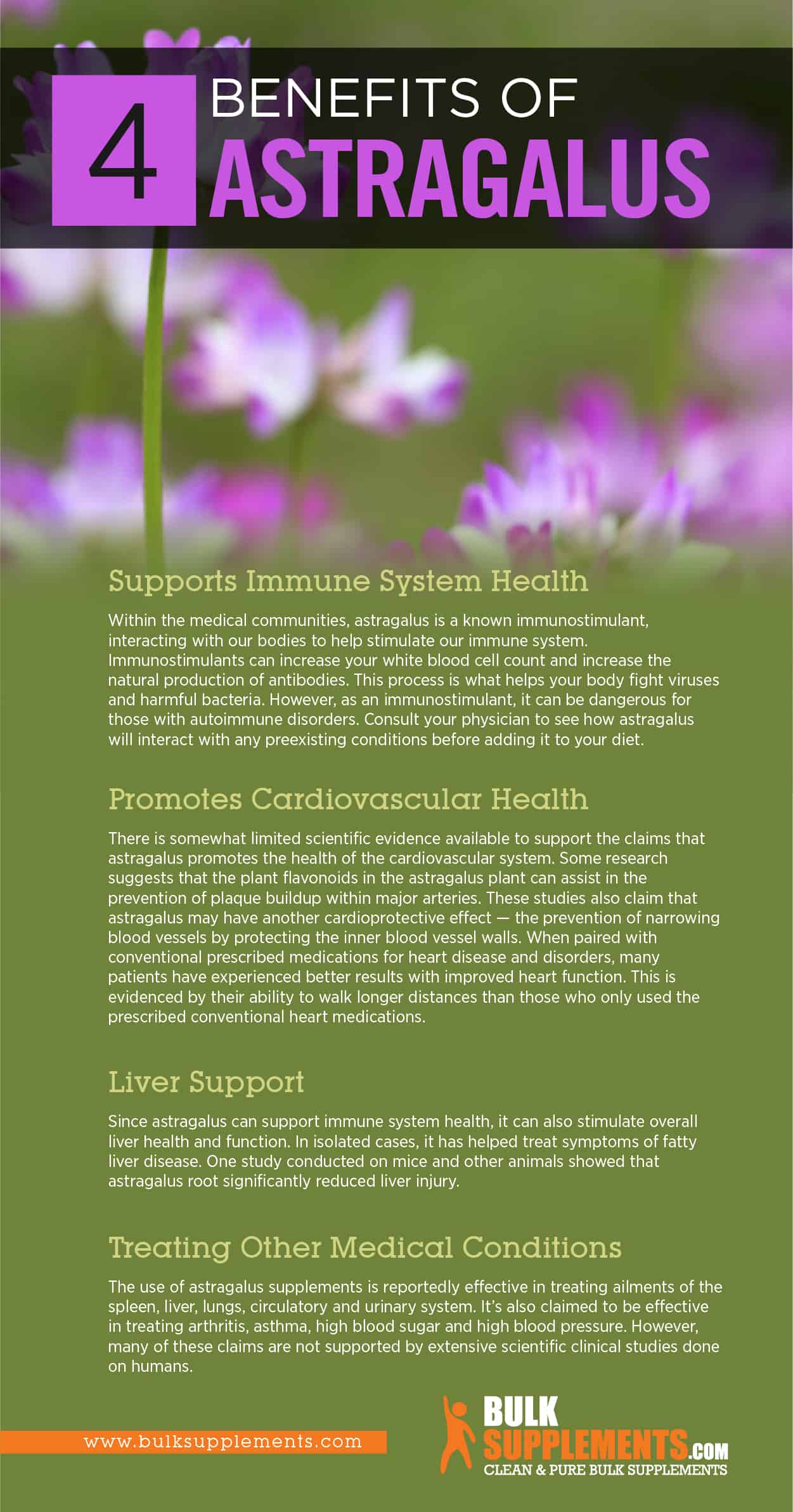 Astragalus Benefits