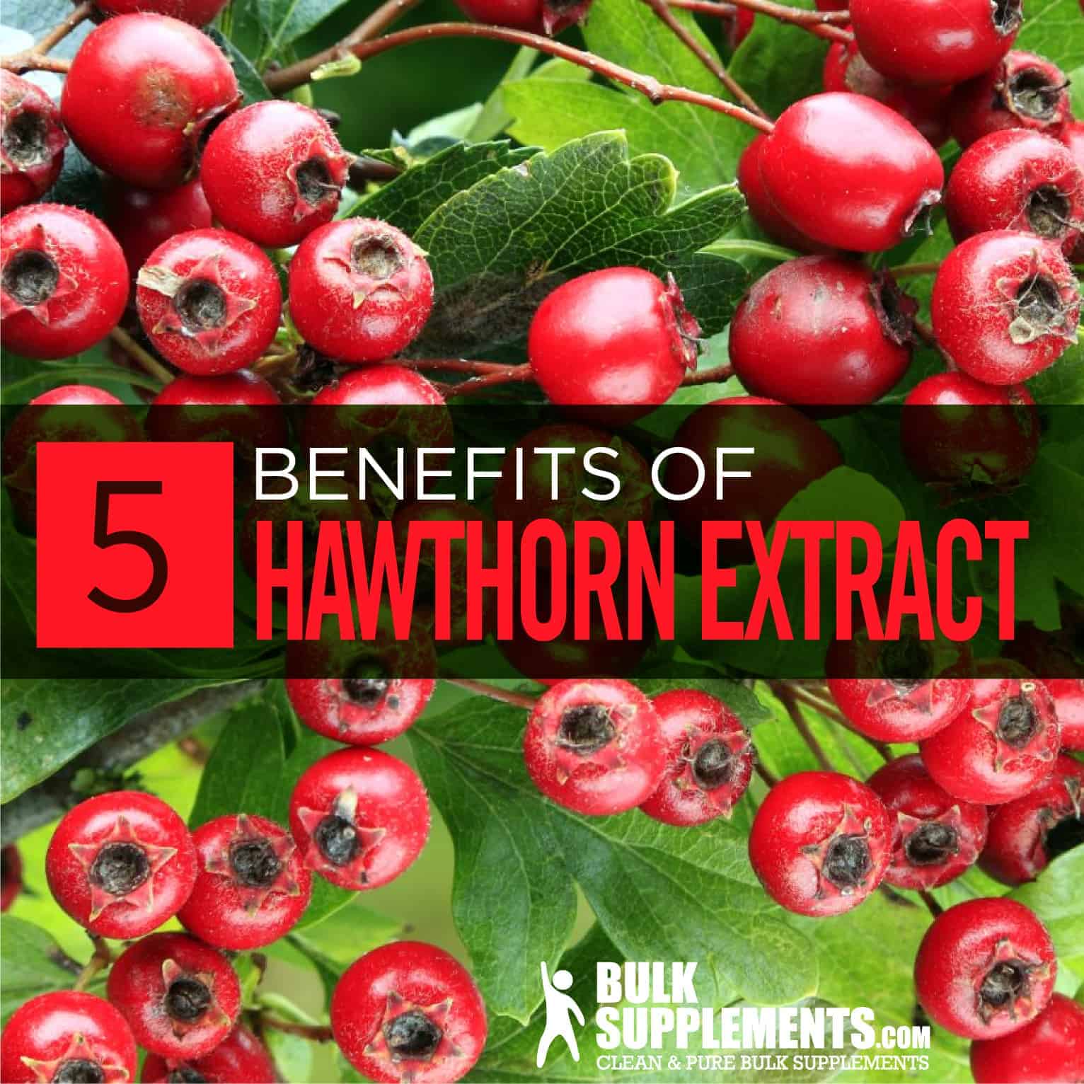 hawthorn-berry-benefits-side-effects-dosage