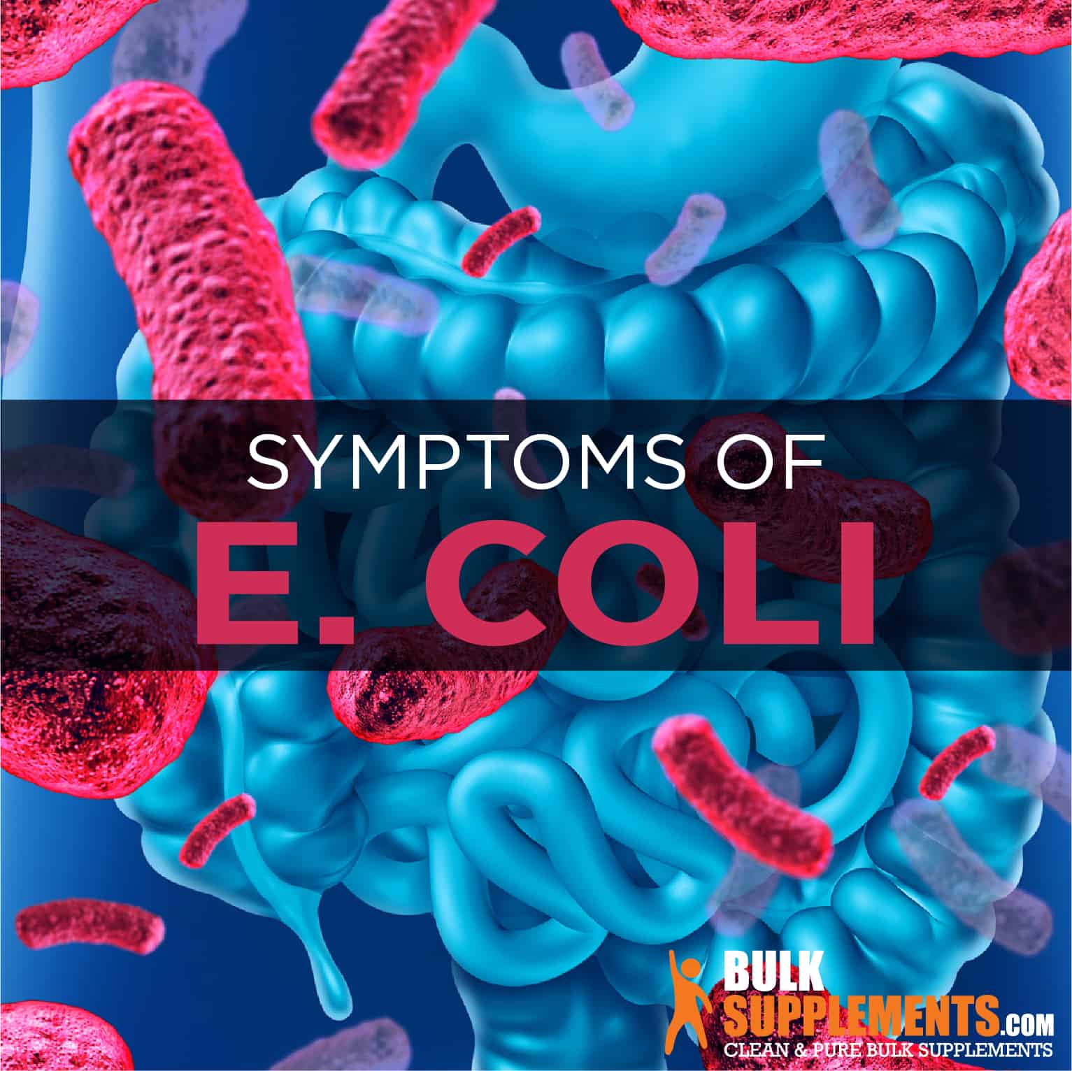 what is an e coli infection