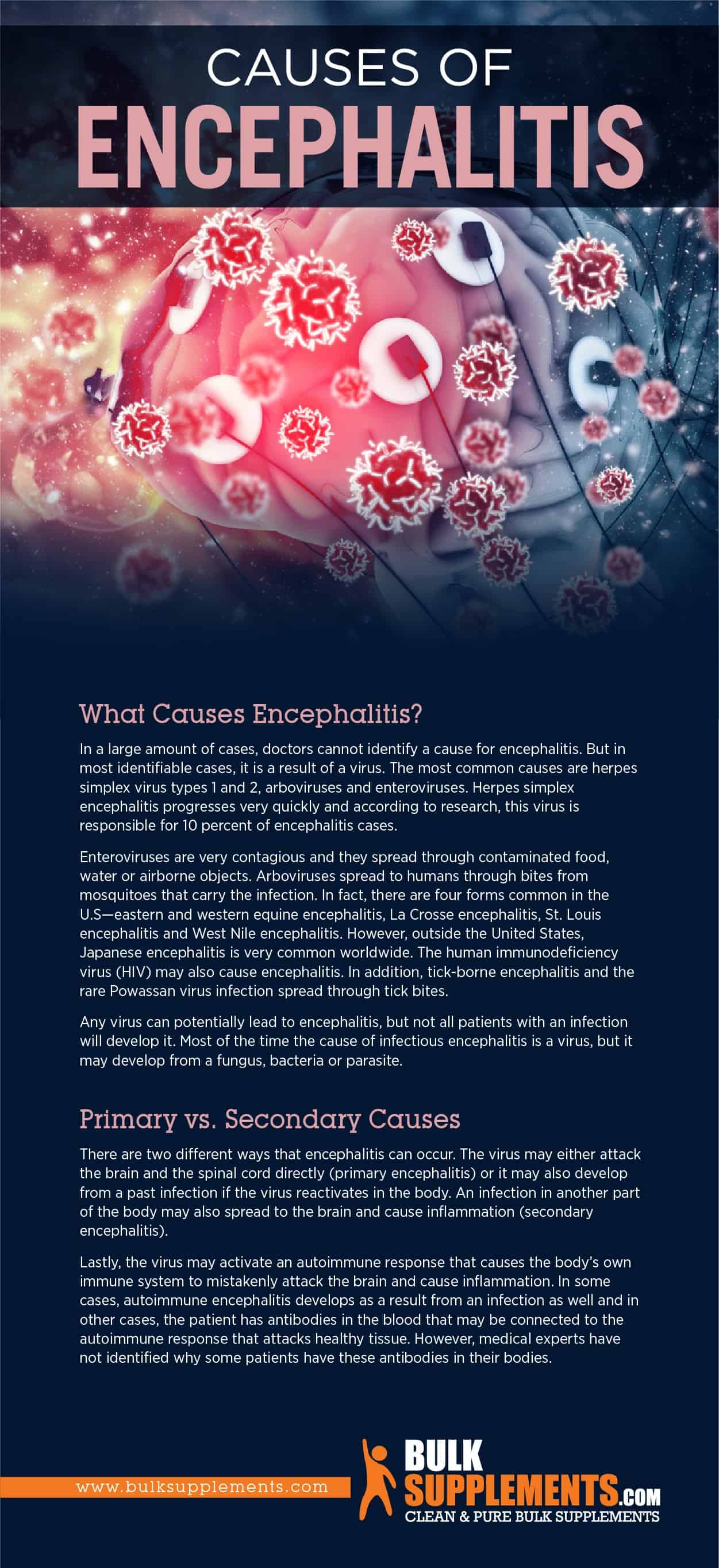 Causes of Encephalitis