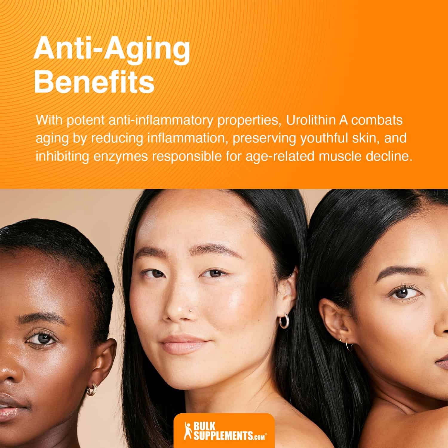anti-aging benefits urolithin A