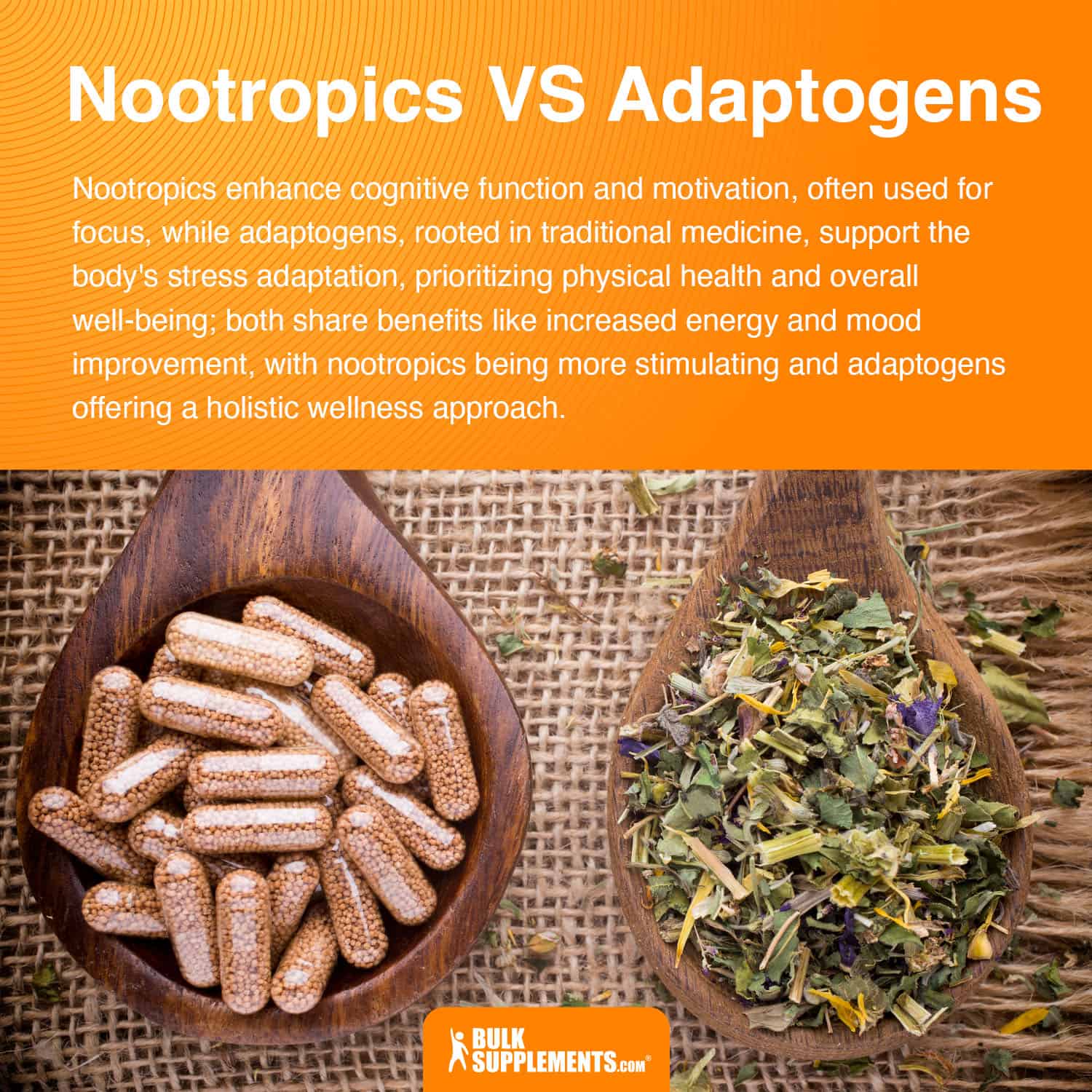 nootropics vs adaptogens
